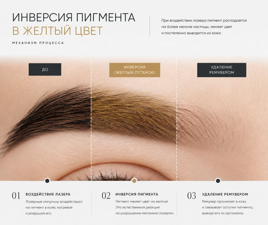 Химическая реакция инверсии пигмента